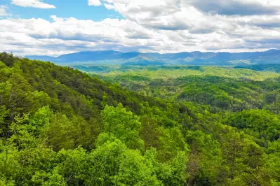 LeConte Overlook