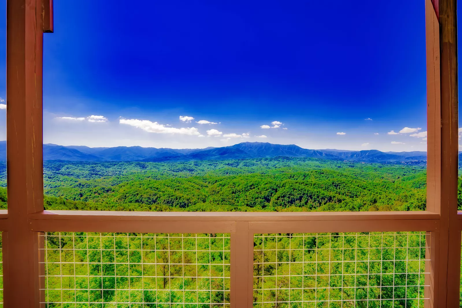 LeConte Overlook