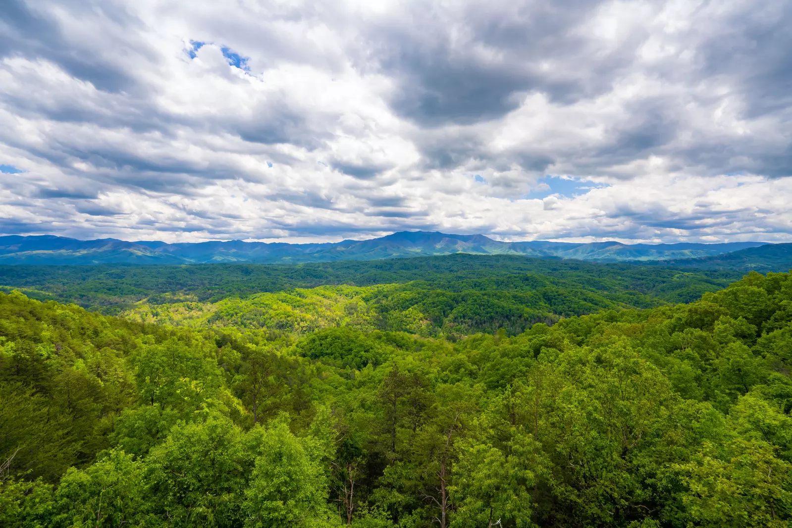 LeConte Overlook