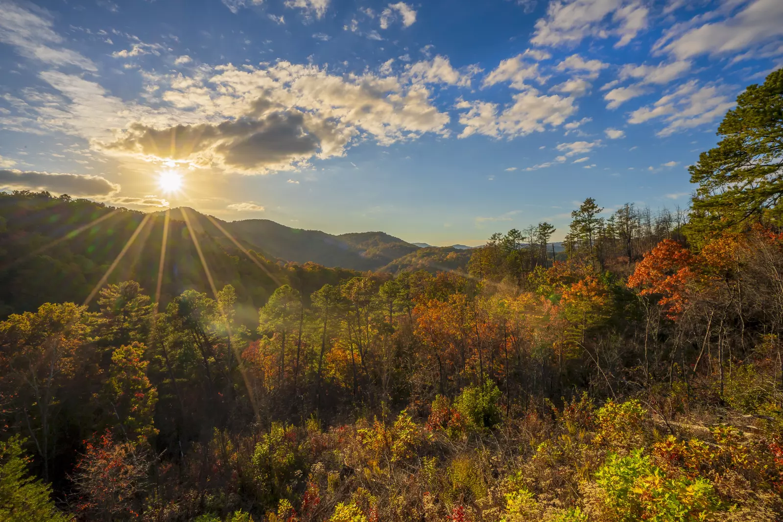 Paradise View In The Smokies