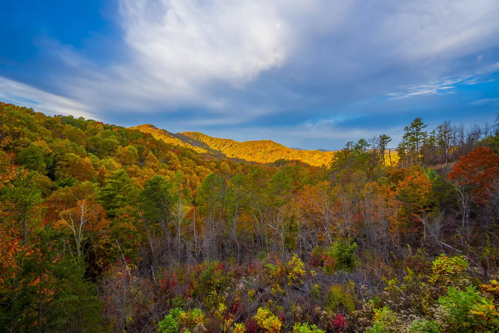 Paradise View In The Smokies