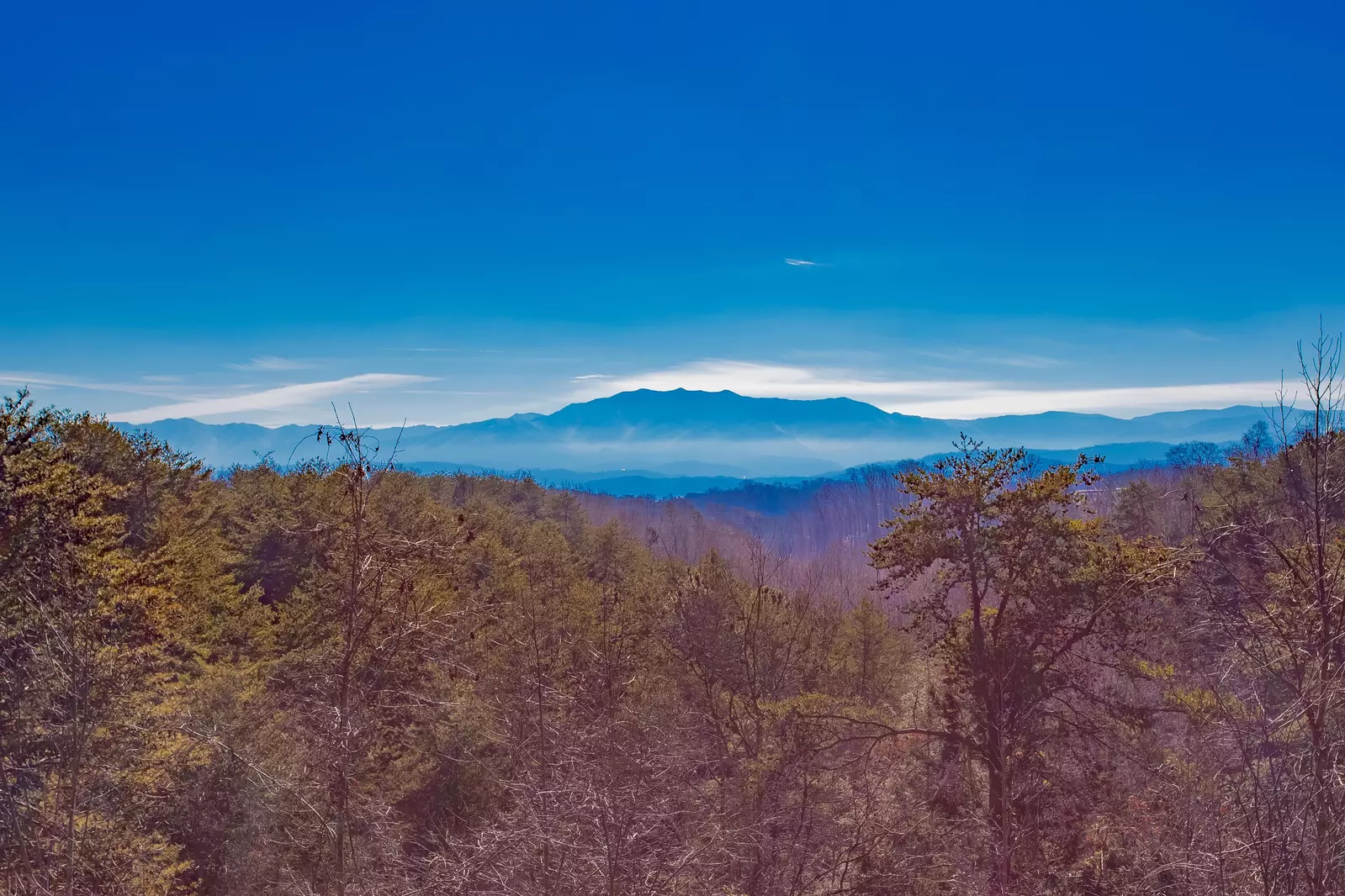 Rocky Top View