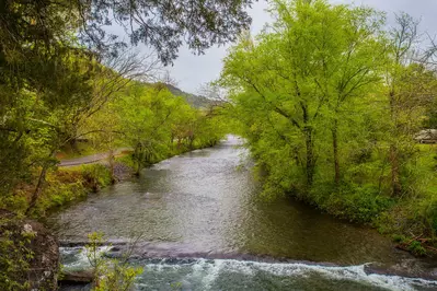 River View