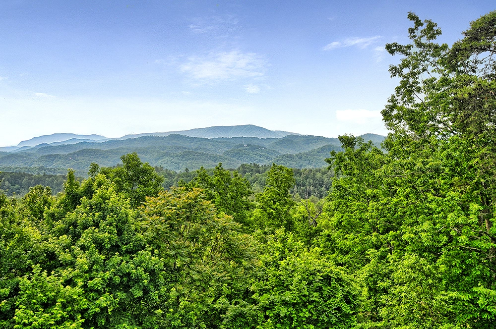 Starry Mountain Moonlite