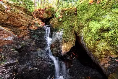 WaterFall View Lodge