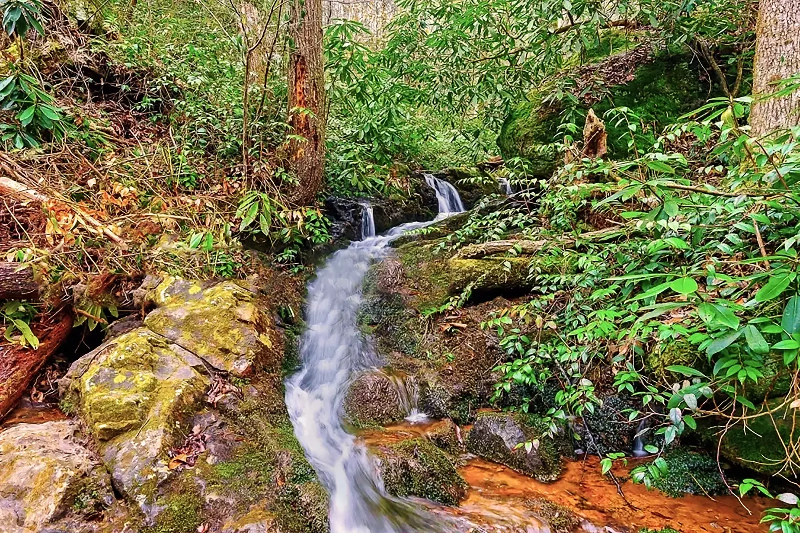 WaterFall View Lodge