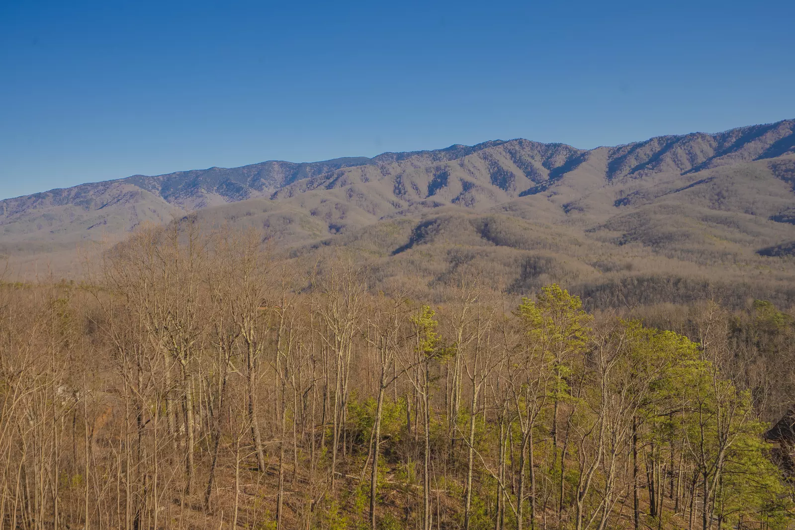 Gatlinburg Country High Life