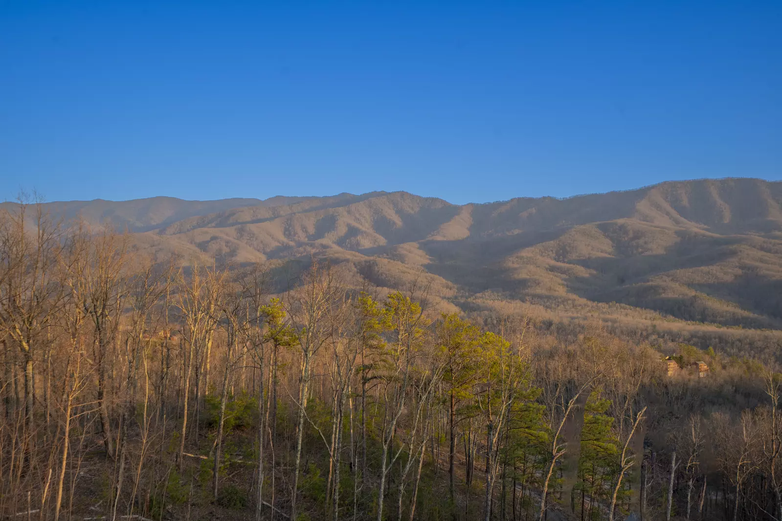 Gatlinburg Country High Life