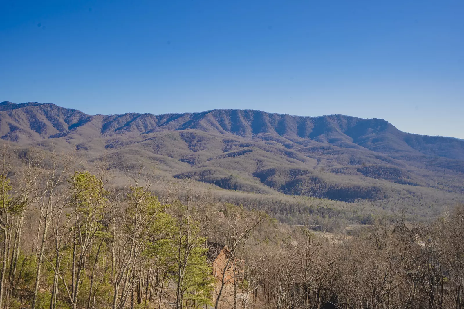 Gatlinburg Country High Life