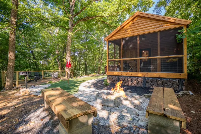 Birds Perch Hummingbird