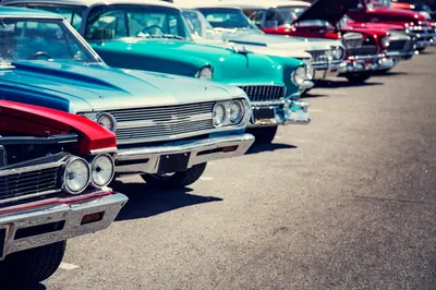 vintage cars lined up at show